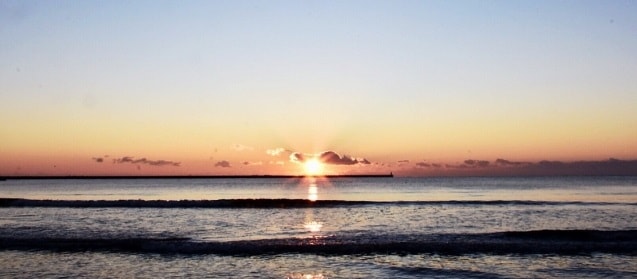 ファイル 229-1.jpg