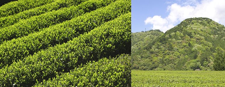 ファイル 69-3.jpg