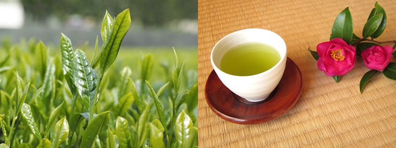 ファイル 69-5.jpg